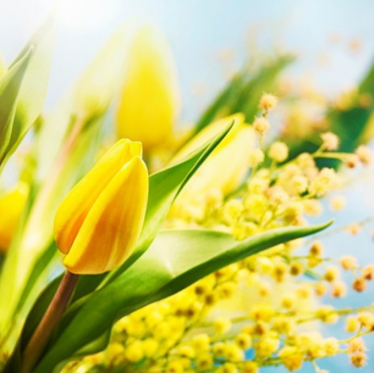 Април: по-топъл и по-сух. Сн.: Shutterstock