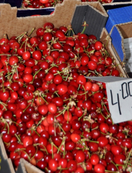 Стопаните от село Крепост предлагат черешите на хасковския пазар. Сн.: БТА