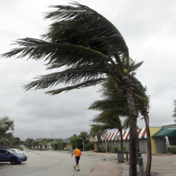 Първи силни ветрове във Вироу бийч, Флорида, предвещават идването на урагана Матю. Сн.: БТА