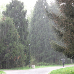 На места дъждовете в средата на седмицата ще бъдат интензивни. Сн.: Dir.bg