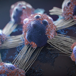 Ракови клетки. Сн.: Shutterstock