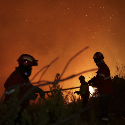 Огнеборци се борят с горските пожари в Португалия. Сн.: БТА