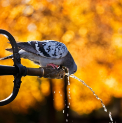 Календарно, есента е вече тук, но температурите ще останат юлски. Сн.: Shutterstock