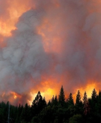 Пламъците погълнаха 4850 хектара площ, изгоряха къщи. Сн.: EPA/БГНЕС