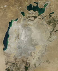 Аралско море през 2014 г. Сн.: NASA