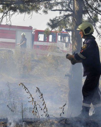 Повечето пожари възникват от огнища при почистване на храсти в земеделските територии. Сн.: БГНЕС