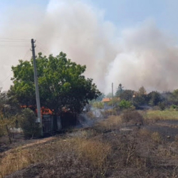 Пожарът в Изворище, Бургаско, избухна в сряда. Сн.: novanews.bg
