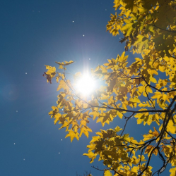 Ласкаво есенно слънце цяла седмица. Сн.: Shutterstock