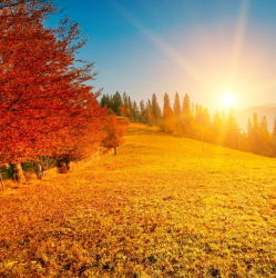 Повече есенно слънце и повишение на температурите през седмицата. Сн.: Shutterstock