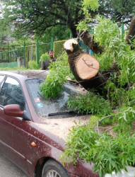 Буря отнесе 20 покрива на сгради и изпочупи над 100 дървета в Симеоновград. Сн.: Bulphoto