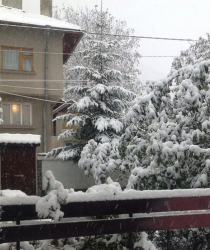 Сняг вали в София и в момента. Сн.: БГНЕС