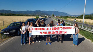 Кюстендилци излязоха на протест в памет на загиналата в катастрофа с коне...